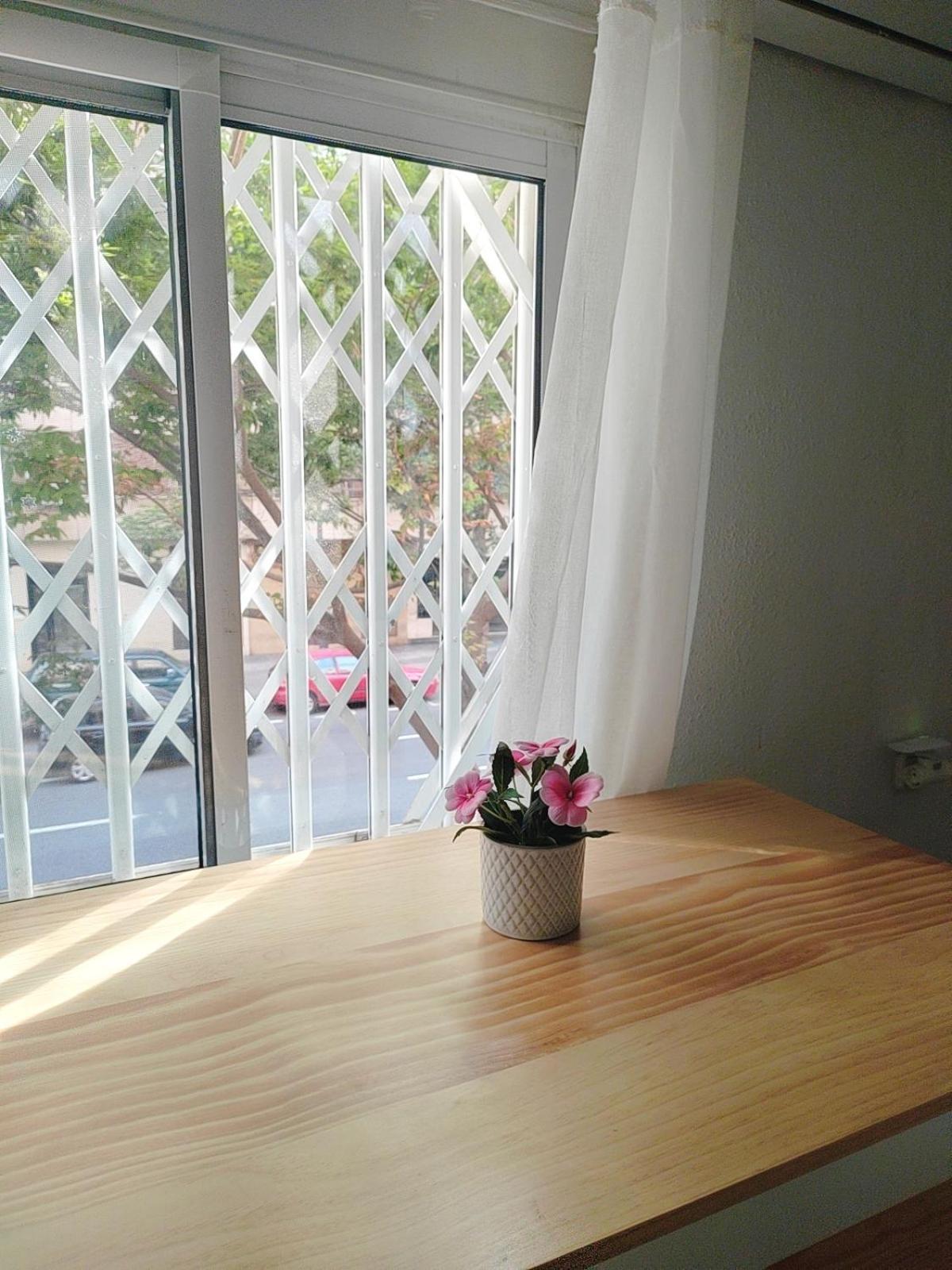Valencia Leticia Apartment Екстериор снимка